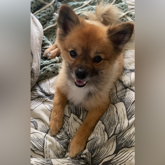 meet your posher!! - Picture 4 of 5